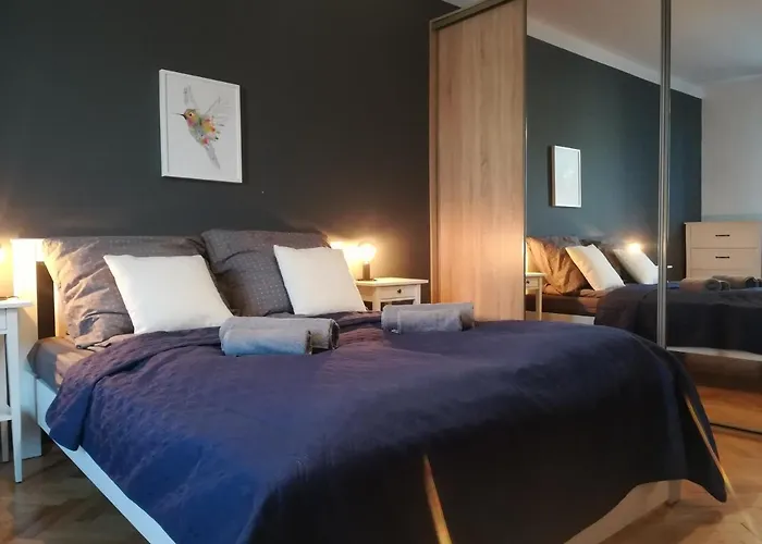 Daire Szeroka View Krakow